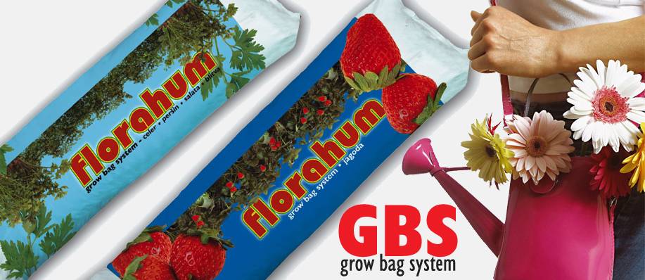 Florahum-GBS